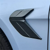 Picture of Carbon Fiber 2X Door Side Fender Wing Cover Trim For BYD SEAL EV 2023 2024 2025